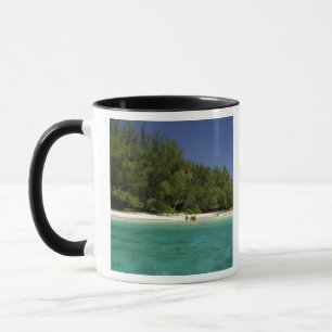 Süd-Pazifik, Französisch-Polynesien, Moorea Tasse