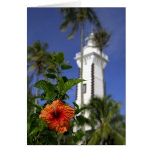 Süd-Pazifik, Französisch-Polynesien, Tahiti. Hibis