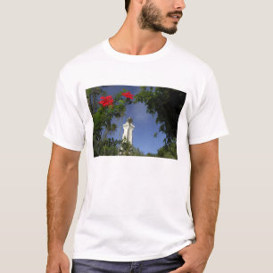Süd-Pazifik, Französisch-Polynesien, Tahiti. Hibis T-Shirt