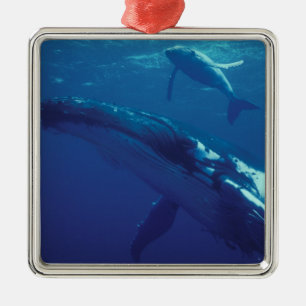 Süd-Pazifik, Tonga. Buckelwal und Kalb Ornament Aus Metall