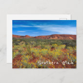 Süd-Utah-Wildblumen Postkarte (Vorne/Hinten)