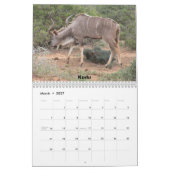 Südafrika 2011 kalender (Mär 2027)