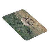 Südafrika, Addo Elephant Nat'l Park. Baby Magnet (Rechte Seite)