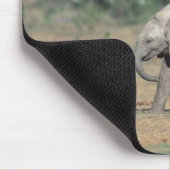 Südafrika, Addo Elephant Nat'l Park. Baby Mousepad (Ecke)