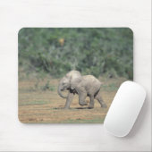Südafrika, Addo Elephant Nat'l Park. Baby Mousepad (Mit Mouse)