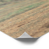 Südafrika, Addo Elephant Nat'l Park. Baby Poster (Ecke)