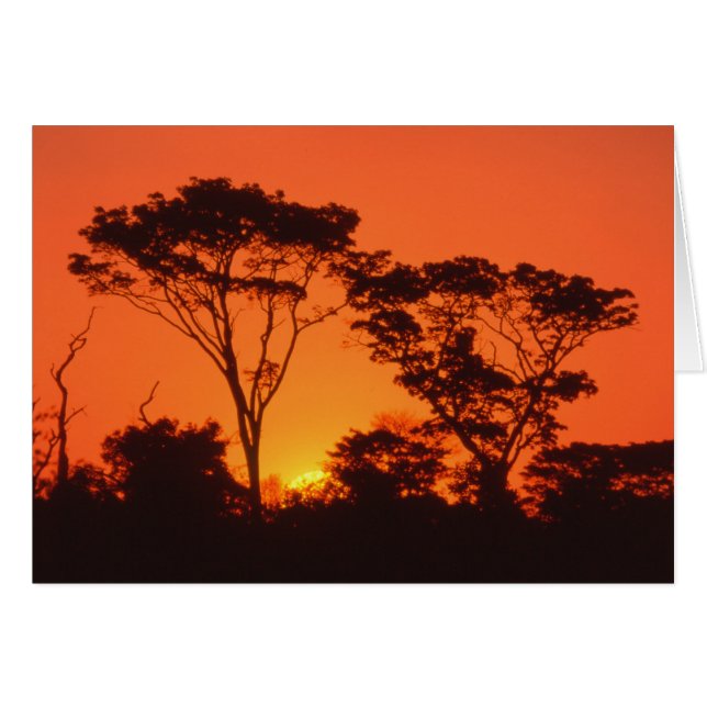 Südafrika. Afrikanischer Sonnenuntergang. (Vorderseite (Horizontal))