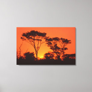 Südafrika. Afrikanischer Sonnenuntergang. Leinwanddruck