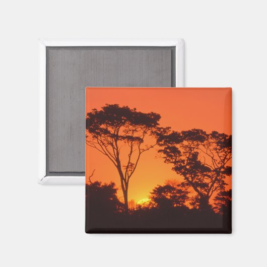 Südafrika. Afrikanischer Sonnenuntergang. Magnet (Vorderseite/Rückseite)