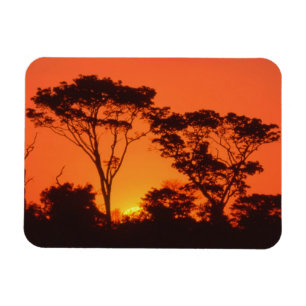 Südafrika. Afrikanischer Sonnenuntergang. Magnet
