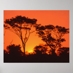 Südafrika. Afrikanischer Sonnenuntergang. Poster