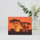 Südafrika. Afrikanischer Sonnenuntergang. Postkarte (Stehend Vorderseite)