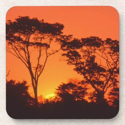 Südafrika. afrikanischer Sonnenuntergang Untersetzer (Vorderseite)