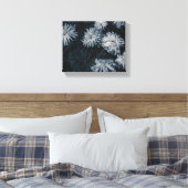 Südafrika Blassgrüne und weiße Blume Leinwanddruck (Insitu (Schlafzimmer))
