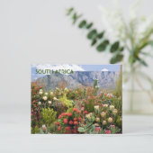 Südafrika: Blumendarstellung von Wildblumen Postkarte (Stehend Vorderseite)