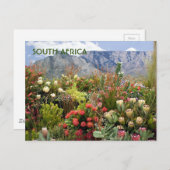 Südafrika: Blumendarstellung von Wildblumen Postkarte (Vorne/Hinten)