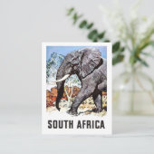 Südafrika, großer Elefant, Vintage-Postkarte Postkarte (Stehend Vorderseite)