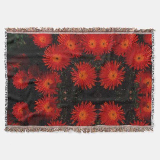 Südafrika Grüne Orangen Sukkulente Blume Decke (Vorderseite)