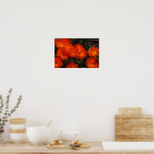 Südafrika Grüne Orangen Sukkulente Blume Poster (Küche)
