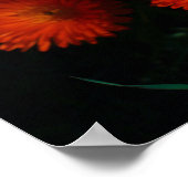 Südafrika Grüne Orangen Sukkulente Blume Poster (Ecke)