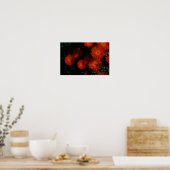 Südafrika Grüne Orangen Sukkulente Blume Poster (Küche)