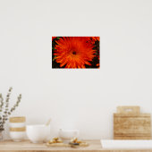 Südafrika Grüne Orangen Sukkulente Blume Poster (Küche)