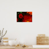 Südafrika Grüne Orangen Sukkulente Blume Poster (Küche)