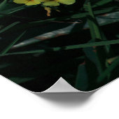 Südafrika Grüngelbe indigene Blume Poster (Ecke)