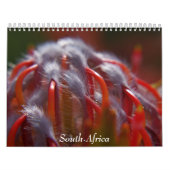 Südafrika Kalender (Titelbild)