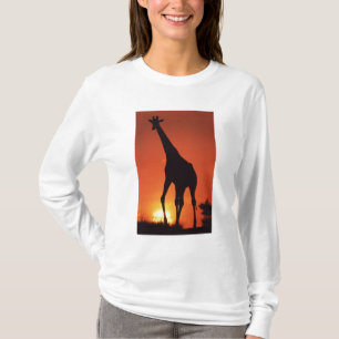 Südafrika, Krüger NP. Giraffe (Giraffa T-Shirt