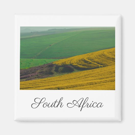 Südafrika Landschaft Canola Felder Magnet (Vorne)
