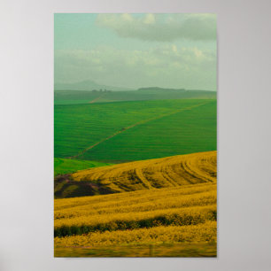 Südafrika Landschaft Canola Felder Poster