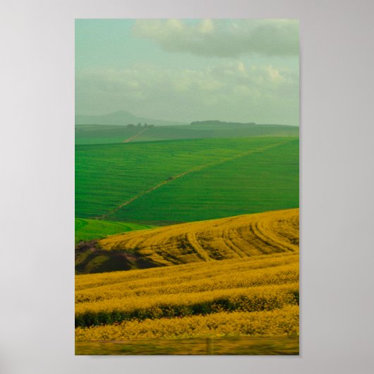 Südafrika Landschaft Canola Felder Poster (Vorne)