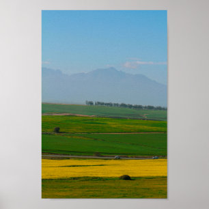 Südafrika Landschaft des ländlichen Raums Canola F Poster