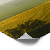 Südafrika Landschaftspflege Canola Fields Poster (Ecke)