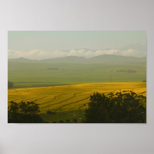 Südafrika Landschaftspflege Canola Fields Poster (Vorne)
