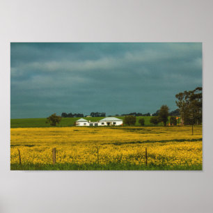 Südafrika Landschaftspflege Canola Fields Poster