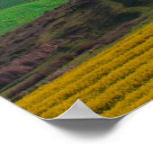 Südafrika Landschaftspflege Canola Fields Poster (Ecke)