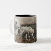Südafrika Lion als König Zweifarbige Tasse (Vorderseite Links)