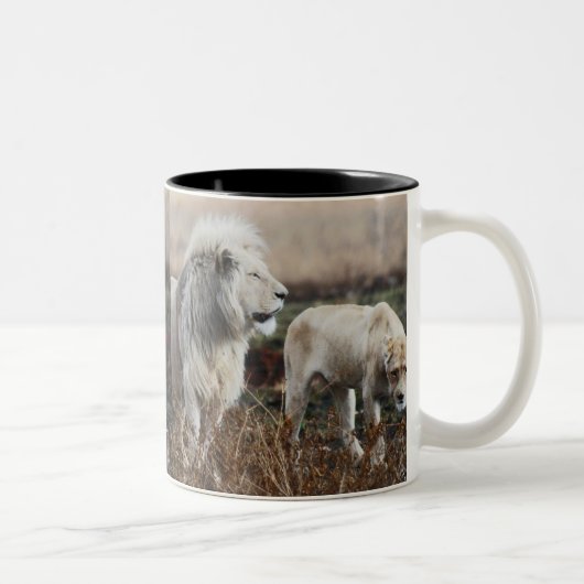 Südafrika Lion als König Zweifarbige Tasse (Rechts)