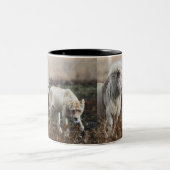 Südafrika Lion als König Zweifarbige Tasse (Mittel)