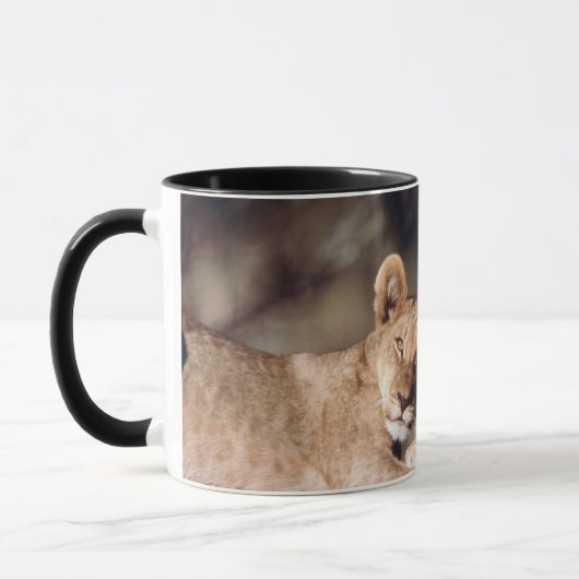 Südafrika, Löwenjunge Tasse (Links)