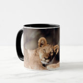 Südafrika, Löwenjunge Tasse (Vorderseite Links)