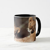 Südafrika, Löwenjunge Tasse (VorderseiteRechts)