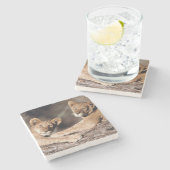 Südafrika, Löwenknochen Steinuntersetzer (Seitenansicht)