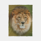 Südafrika Majestic Lion Nah Fleecedecke (Vorderseite)