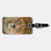 Südafrika Majestic Lion Nah Gepäckanhänger (Vorderseite horizontal)