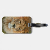 Südafrika Majestic Lion Nah Gepäckanhänger (Rückseite horizontal)