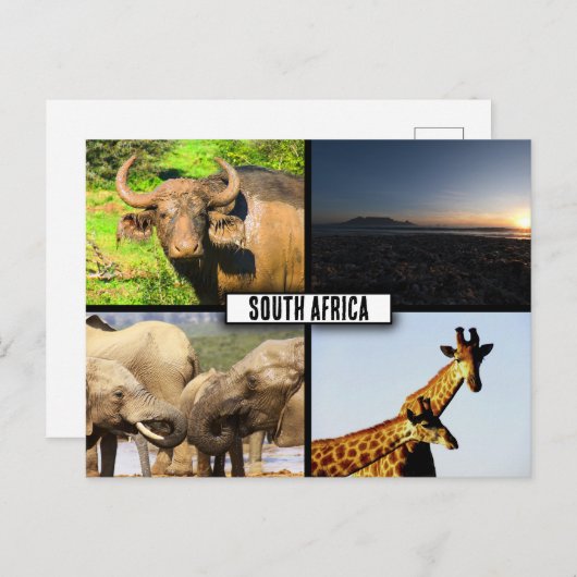 Südafrika NaturfotoCollage Postkarte (Vorne/Hinten)