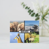 Südafrika NaturfotoCollage Postkarte (Stehend Vorderseite)